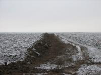 Imagine atasata: A1-Tm-Lg-dorum-2013-Dec-11-09.jpg